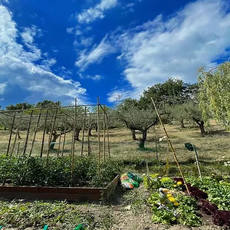 Spoleto Enchantedexc Pool, Gardens Villaaircon 4 Villa *
