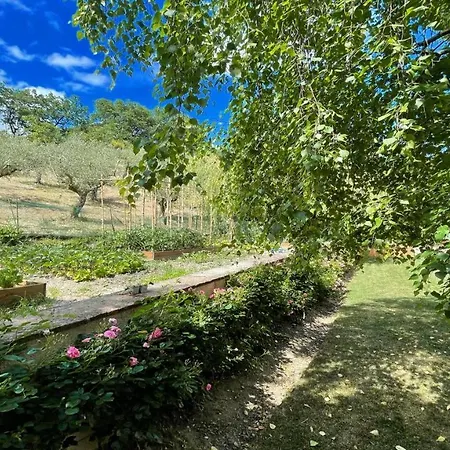 Villa Spoleto Enchantedexc Pool, Gardens Villaaircon 4 Uncinano