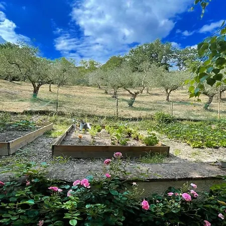 Spoleto Enchantedexc Pool, Gardens Villaaircon 4 Villa Uncinano